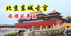 欧美大鸡吧操我中国北京-东城古宫旅游风景区
